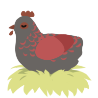 A grey and red chicken with a half-lace pattern