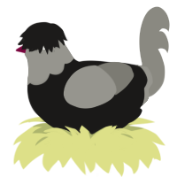 A sable and ash chicken with a head pattern