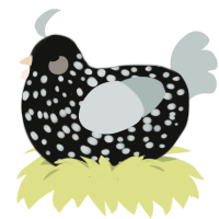 bean, a black and silver chicken with a speckle pattern