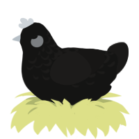 A black and sable chicken with a half-lace pattern