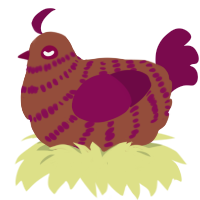 Red Velvet Cake, a russet and wine chicken with a bar pattern