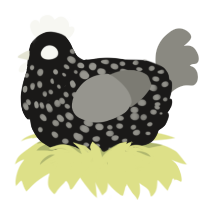 A sable and ash chicken with a speckle pattern