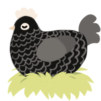A black and grey chicken with a lace pattern