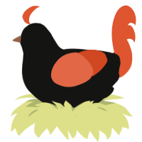 A black and vermilion chicken