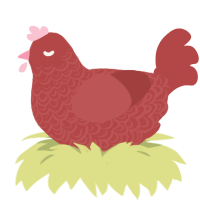 A red chicken with a double-lace pattern