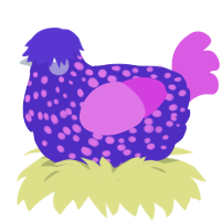 Jellybean, a indigo and orchid chicken with a speckle pattern