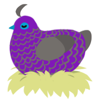 A violet and grey chicken with a lace pattern