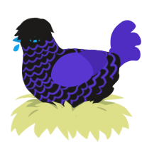 A sable and indigo chicken with a lace pattern