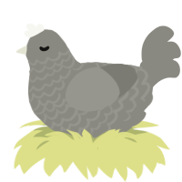 Slush, a ash chicken with a lace pattern