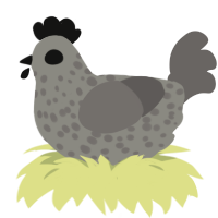 A ash and grey chicken with a speckle pattern