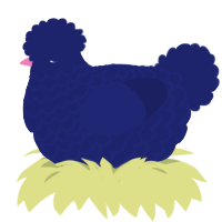 A navy chicken with a lace pattern