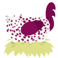 A white and wine chicken with a speckle pattern