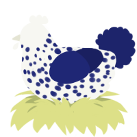 A white and navy chicken with a speckle pattern
