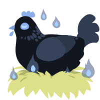 A sable and navy chicken with a neck-speckle pattern
