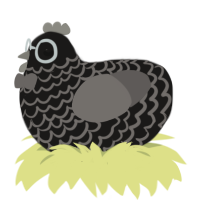 GimoNoir, a sable and grey chicken with a lace pattern