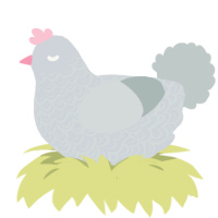 A mist and silver chicken with a double-lace pattern