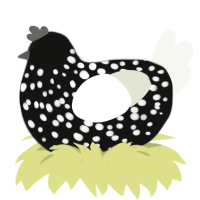 A black and white chicken with a speckle pattern