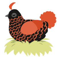 A sable and vermilion chicken with a lace pattern