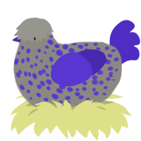 A ash and indigo chicken with a speckle pattern