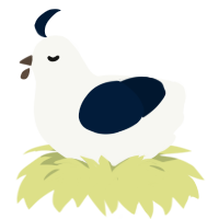 BlackBerry, a white and tumblr chicken