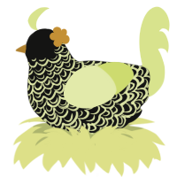 A black and lemon chicken with a double-lace pattern