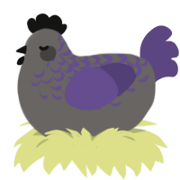A grey and overcast chicken with a half-lace pattern