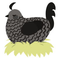 A grey and sable chicken with a lace pattern