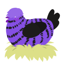 Gothic Lolita, a blurple and sable chicken with a bar pattern