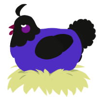 A indigo and black chicken with a head pattern