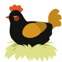 A black and ochre chicken