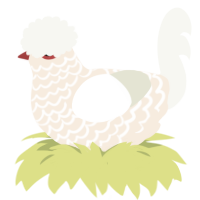 Sultan, a cream and white chicken with a lace pattern