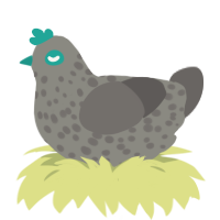 A ash and grey chicken with a speckle pattern