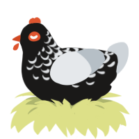 la gloire, a sable and mist chicken with a half-lace pattern