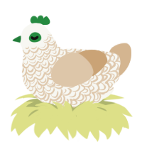 A white and beige chicken with a double-lace pattern