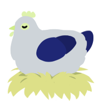 A mist and navy chicken