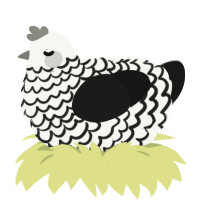 (unnamed), a white and sable chicken with a lace pattern