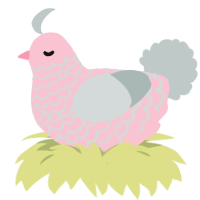Himalayan Salt, a rose and silver chicken with a lace pattern