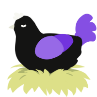 A black and blurple chicken