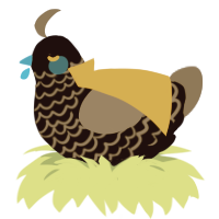A black and grey chicken with a lace pattern