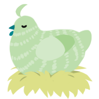 Guppy, a gluppy chicken with a bar pattern