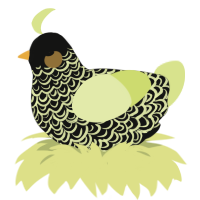 A black and lemon chicken with a double-lace pattern