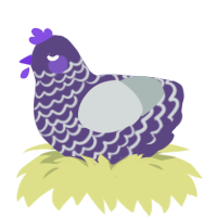 Haunted, a overcast and silver chicken with a lace pattern