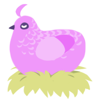 Dessert, a lavender chicken with a half-lace pattern