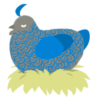 vrisker circuit-, a ash and sapphire chicken with a double-lace pattern