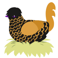 A sable and orange chicken with a lace pattern
