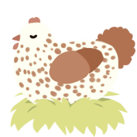 Guchan, a mist and russet chicken with a speckle pattern