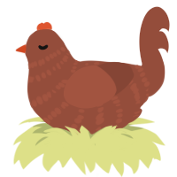 PALGANY, a russet chicken with a bar pattern