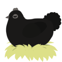 A sable and black chicken