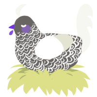 (unnamed), a grey and white chicken with a double-lace pattern