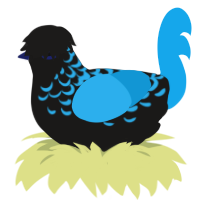 Tersyn, a sable and sky chicken with a half-lace pattern